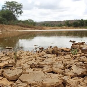 Defesa Civil reconhece situação de emergência por estiagem em Frei Martinho e mais três cidades da PB