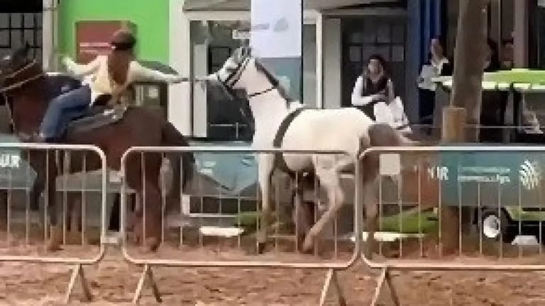 Cavalo desgovernado é controlado por menina de 12 anos no RS