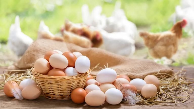 Ovos