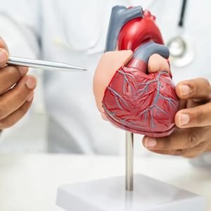 Tem um coração saudável? Cardiologista propõe 7 desafios para descobrir
