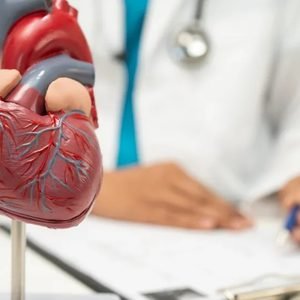 Uma bebida para relaxar? Entenda o que acontece com o seu coração