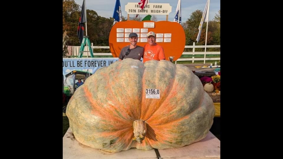 Abóbora gigante